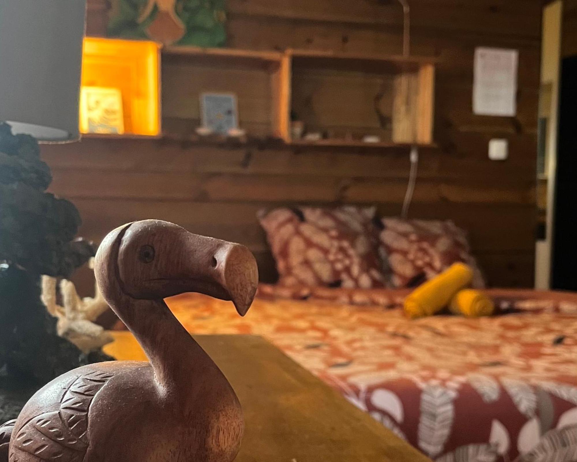 Dodo House Auberge De Jeunesse 圣勒 外观 照片